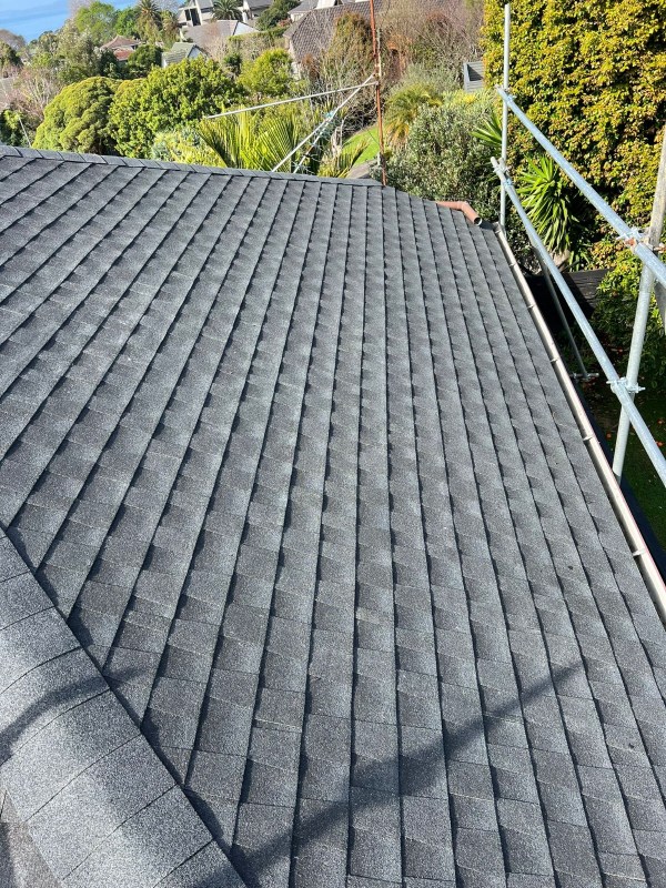 Premium Asphalt Shingle Tab for NZ Homes